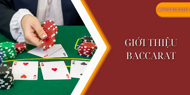 Giới thiệu baccarat - tổng quan về trò chơi