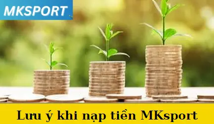 Lưu ý khi nạp tiền MKsport