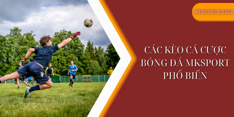 Các kèo cá cược bóng đá mksport phổ biến