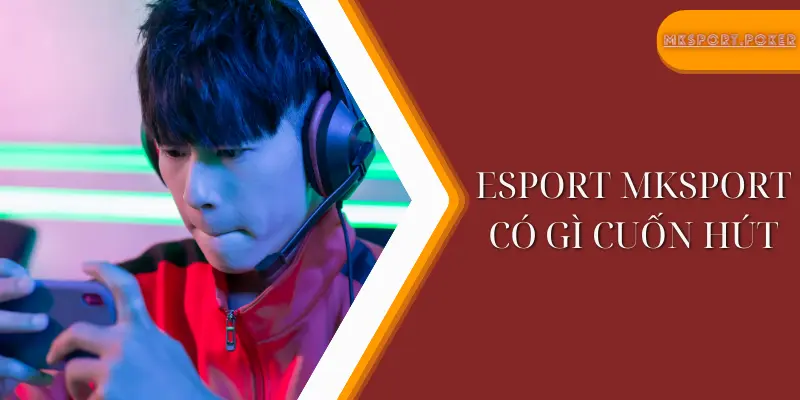 Esport mksport có gì cuốn hút