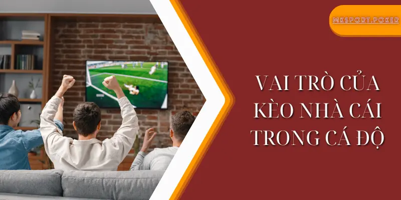 Vai trò của kèo nhà cái trong cá độ - Mksport