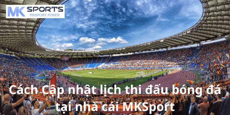 Cách Cập nhật lịch thi đấu bóng đá tại nhà cái MKSport