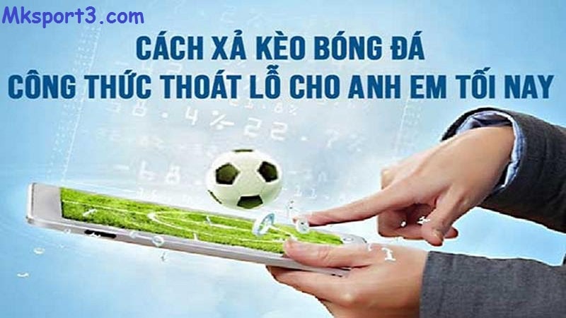 Lựa chọn phương pháp xã kèo chiến thắng nhà cái